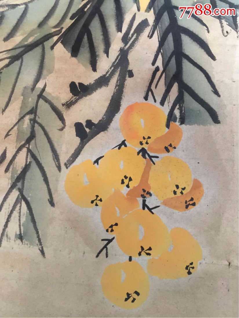 枇杷画