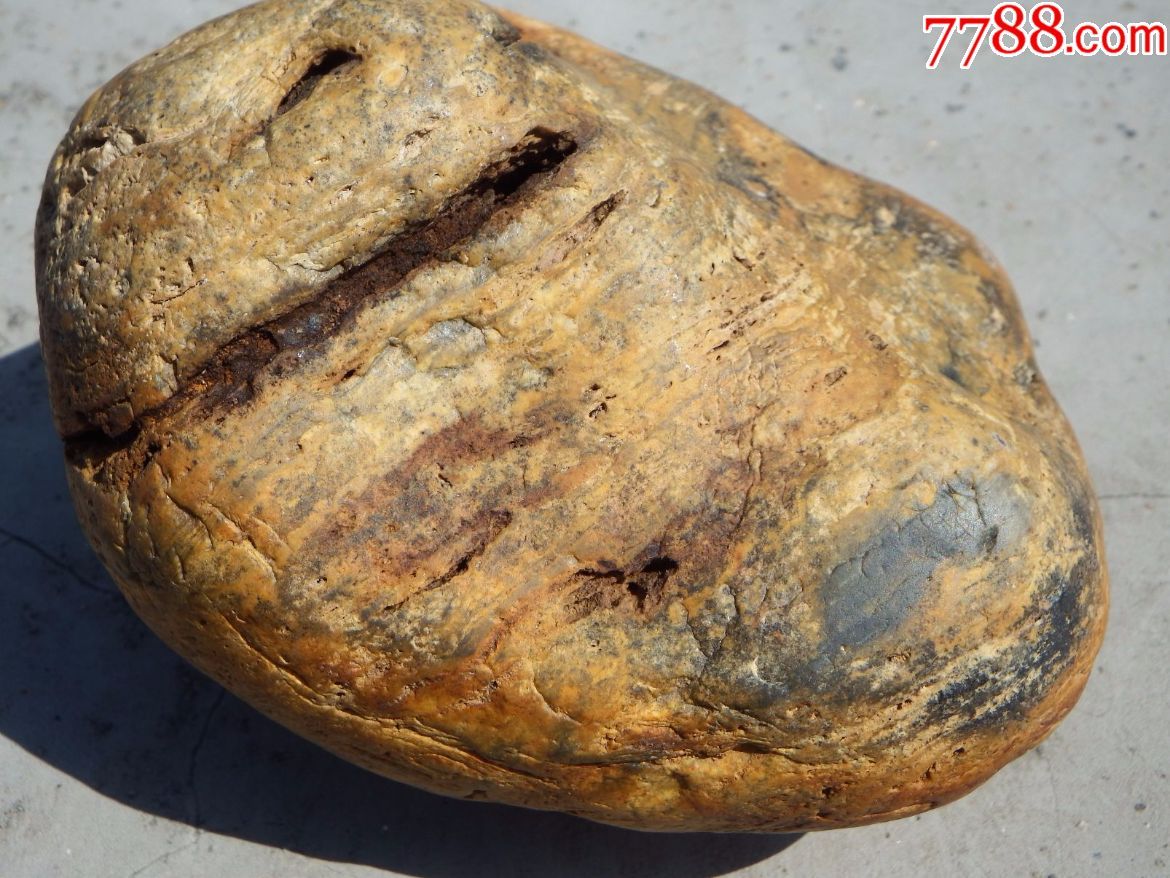 黄金陨石掌中宝