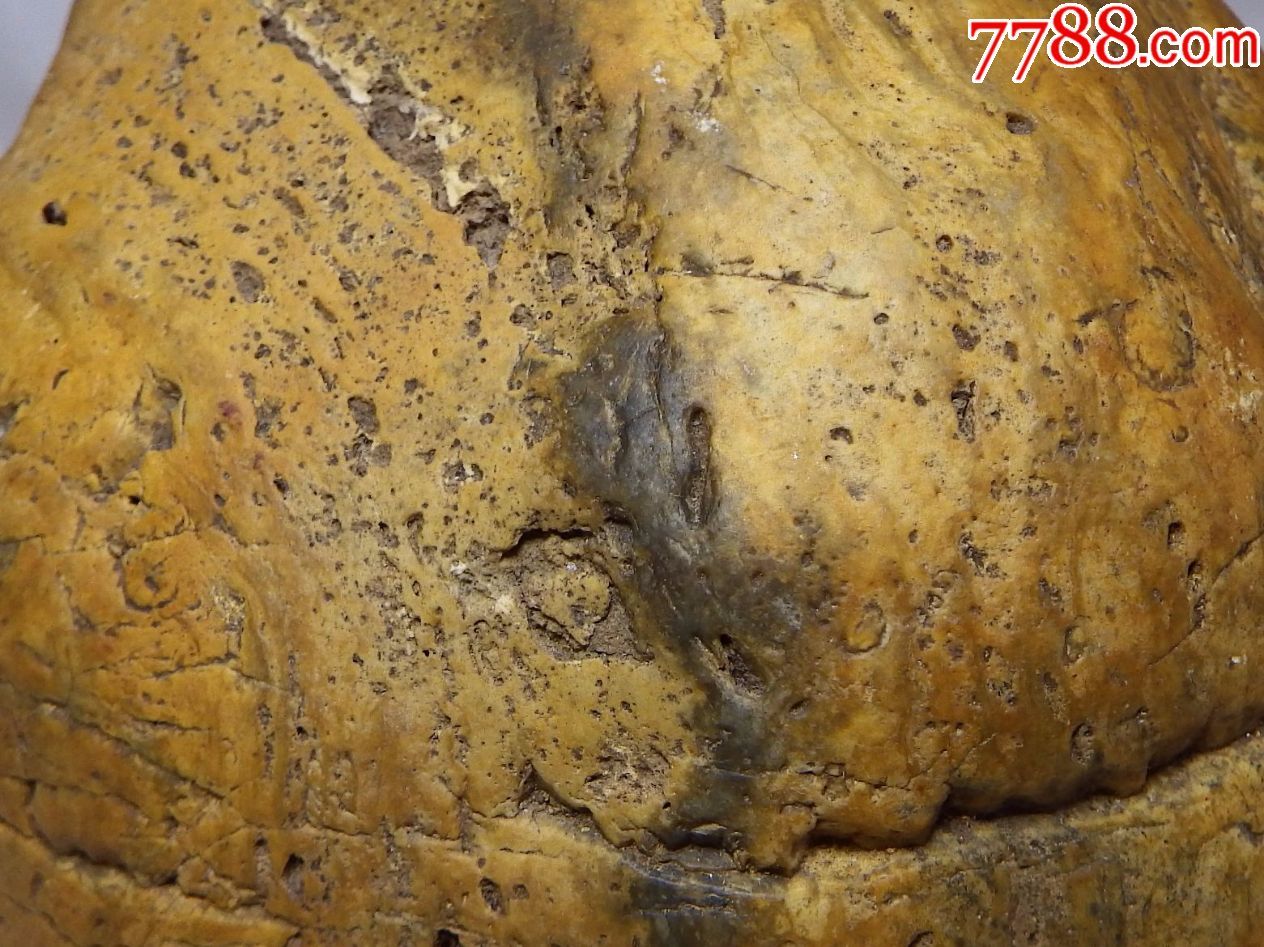 黄金陨石掌中宝