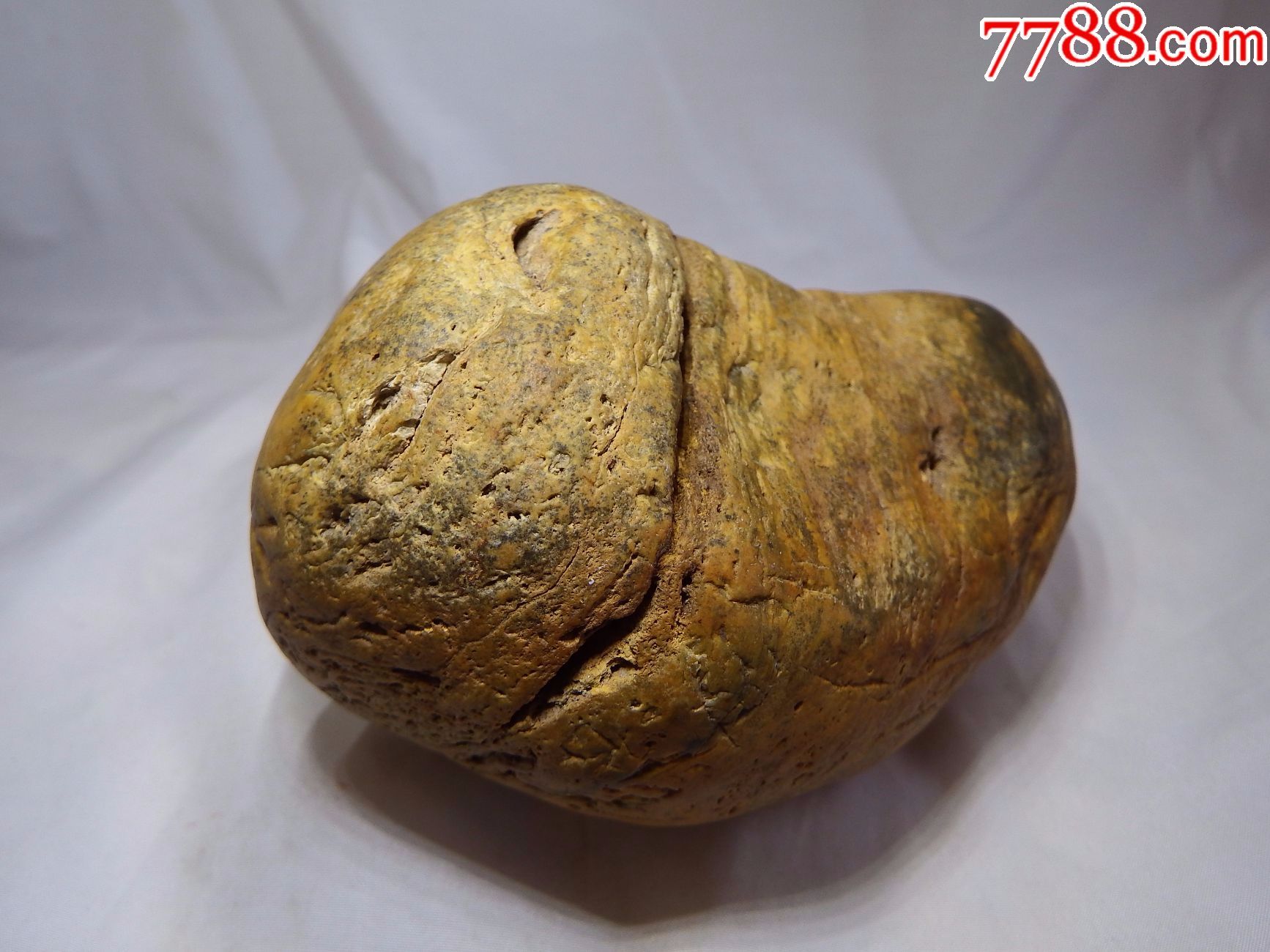黄金陨石掌中宝