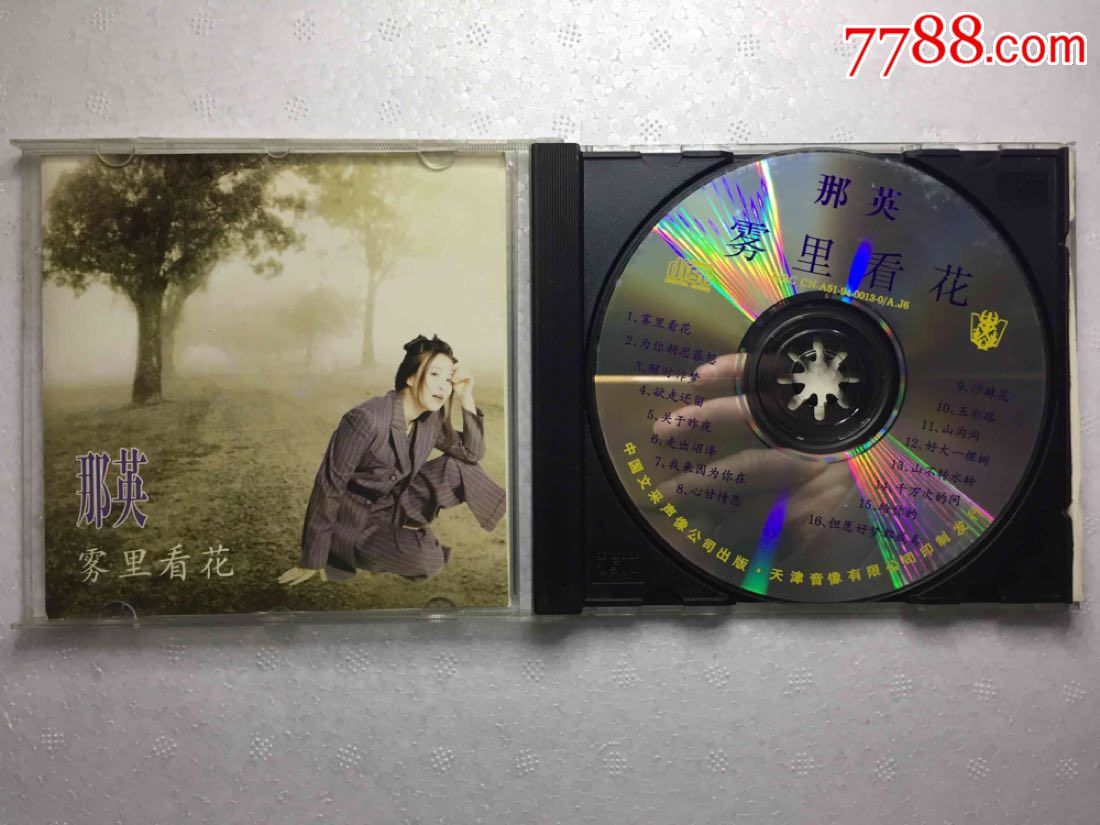 那英《雾里看花》少见