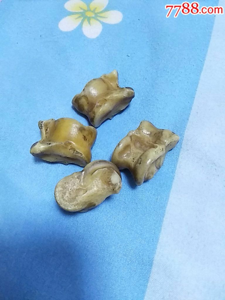 羊嘎啦哈