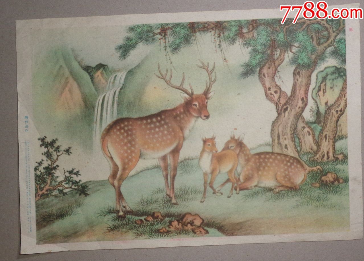 早期-鹿_年画/宣传画_金福阁【7788收藏__中国收藏热线】