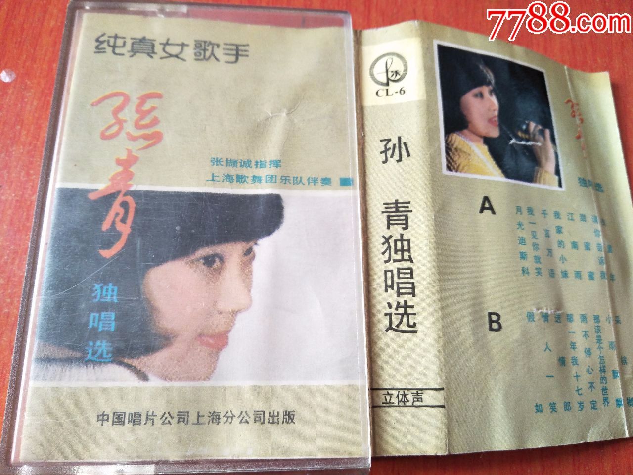 孙青-纯真女歌手