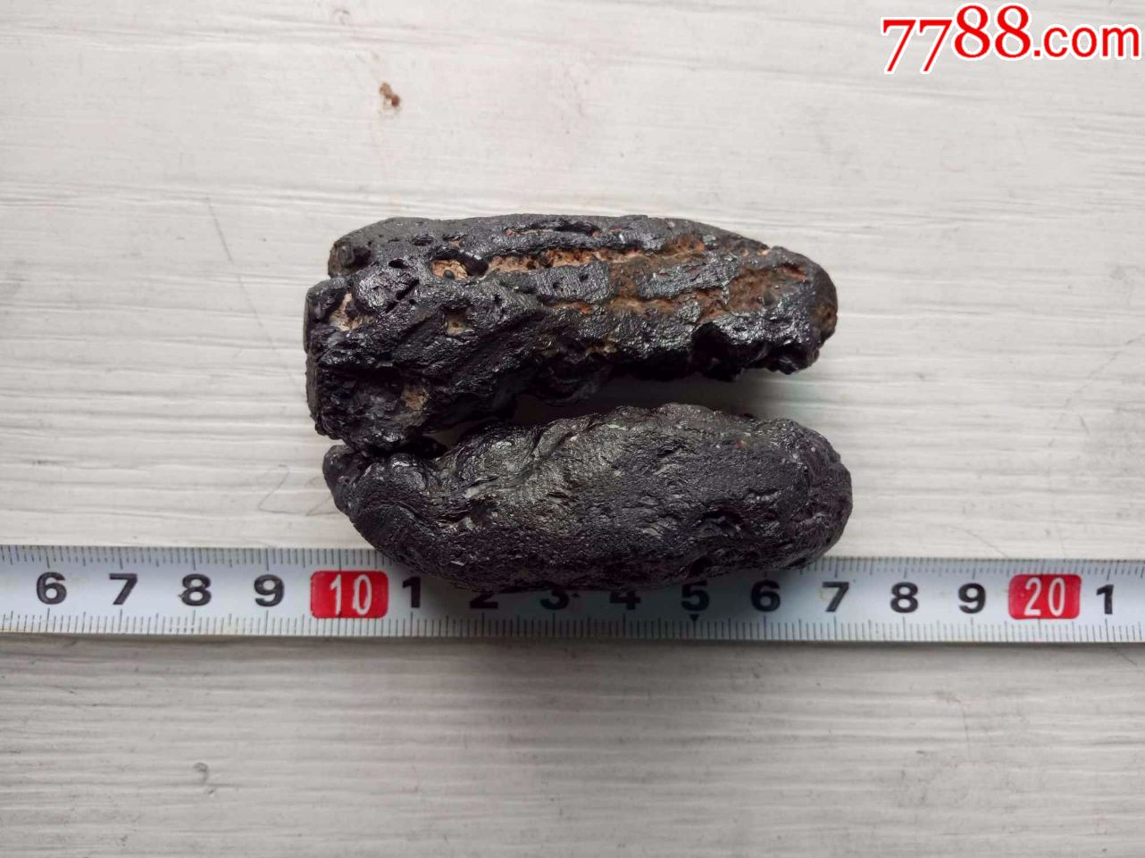 从日本买来的火山熔岩石