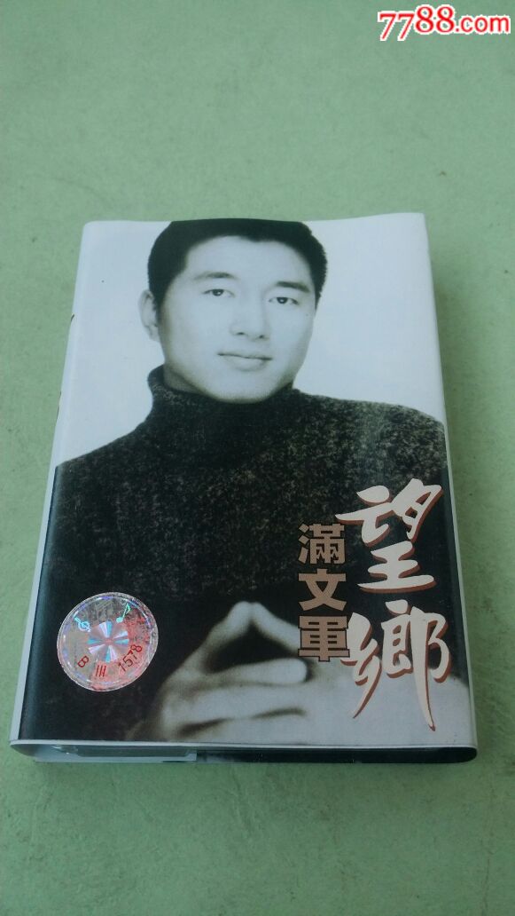 满文军·望乡