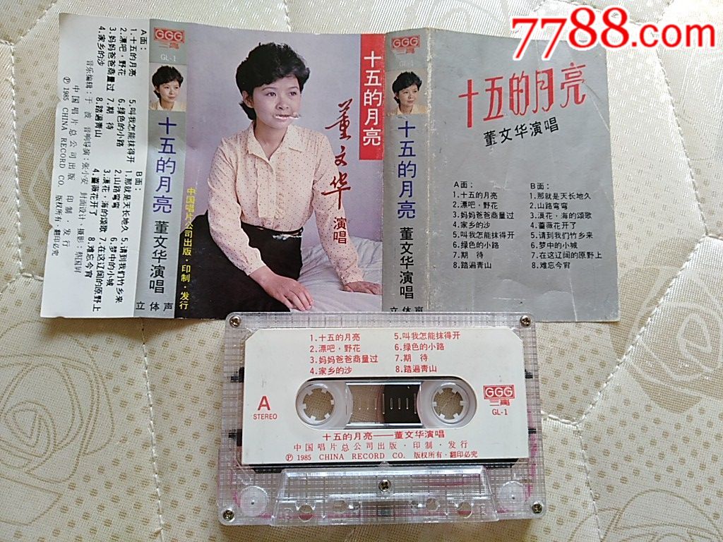 董文华(十五的月亮)
