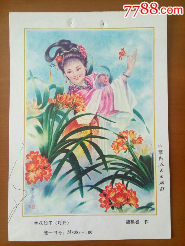 兰花仙子