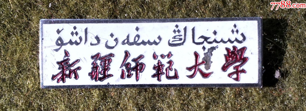 铜质新疆师范大学校徽