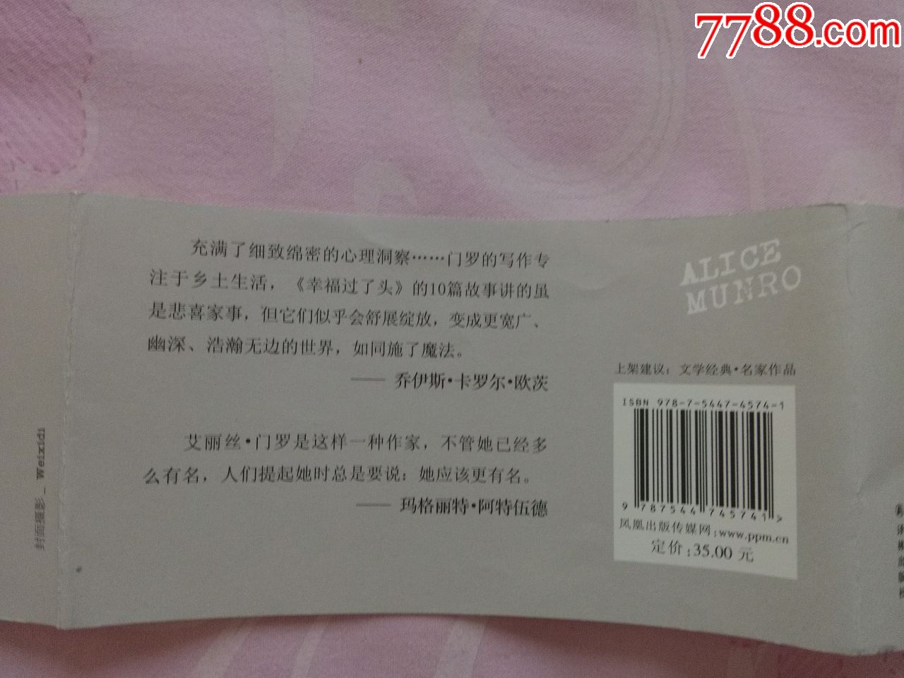 2013诺贝尔文学获奖得主艾丽斯门罗书标图书腰封