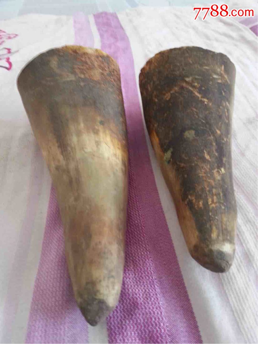 老牛角牛犄角牛角