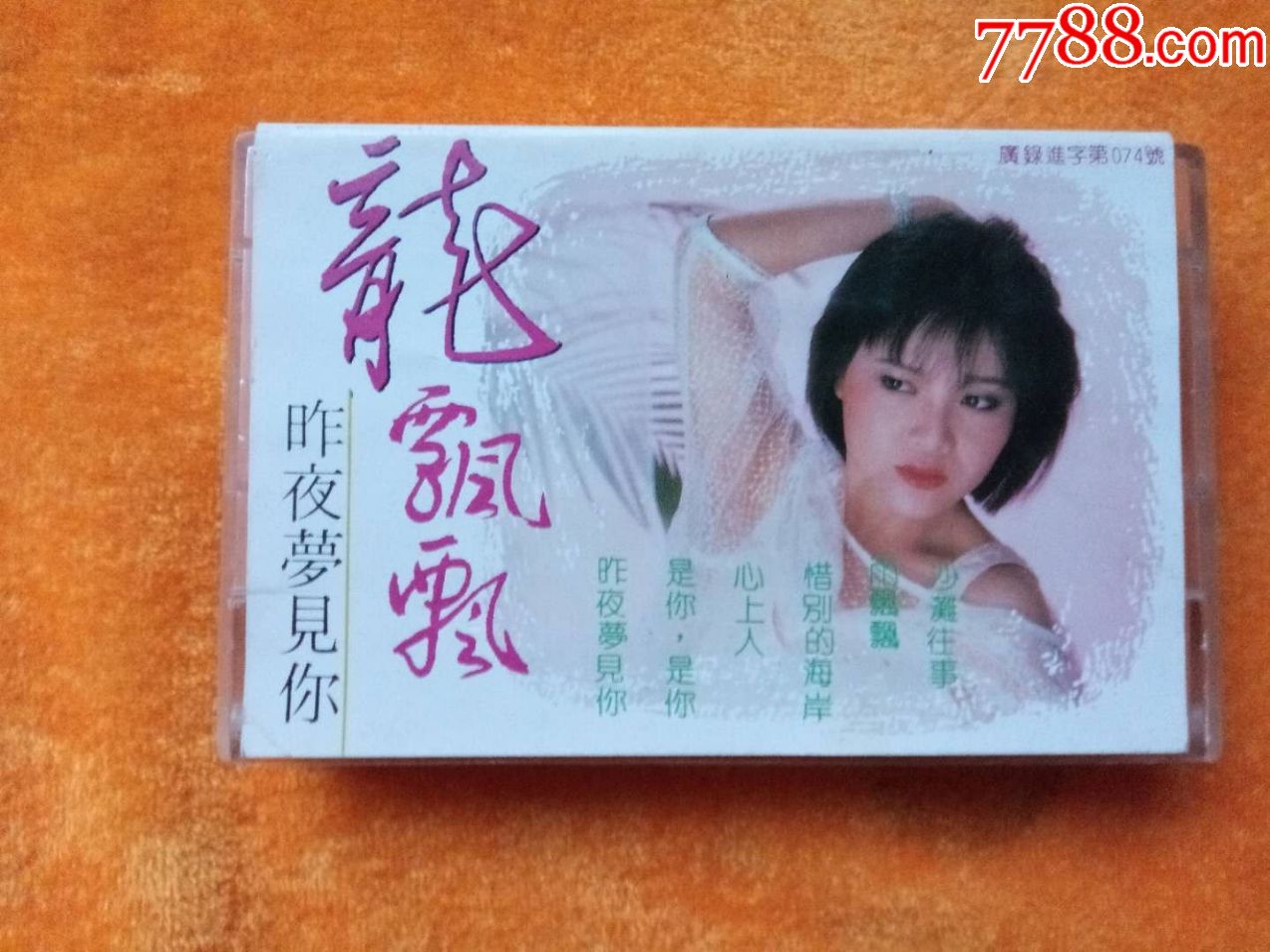 (龙飘飘)昨夜梦见你