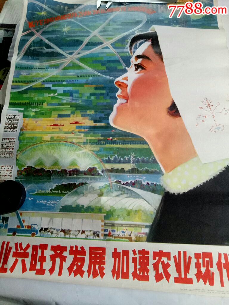 加速农业现代化【1979年上海人民美术