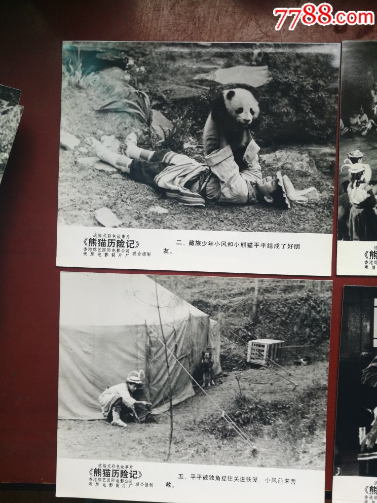 稀少老剧照`…峨眉电影制片厂…《熊猫历险记》