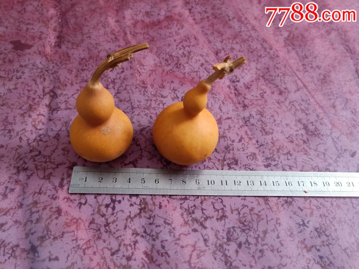 手捻葫芦
