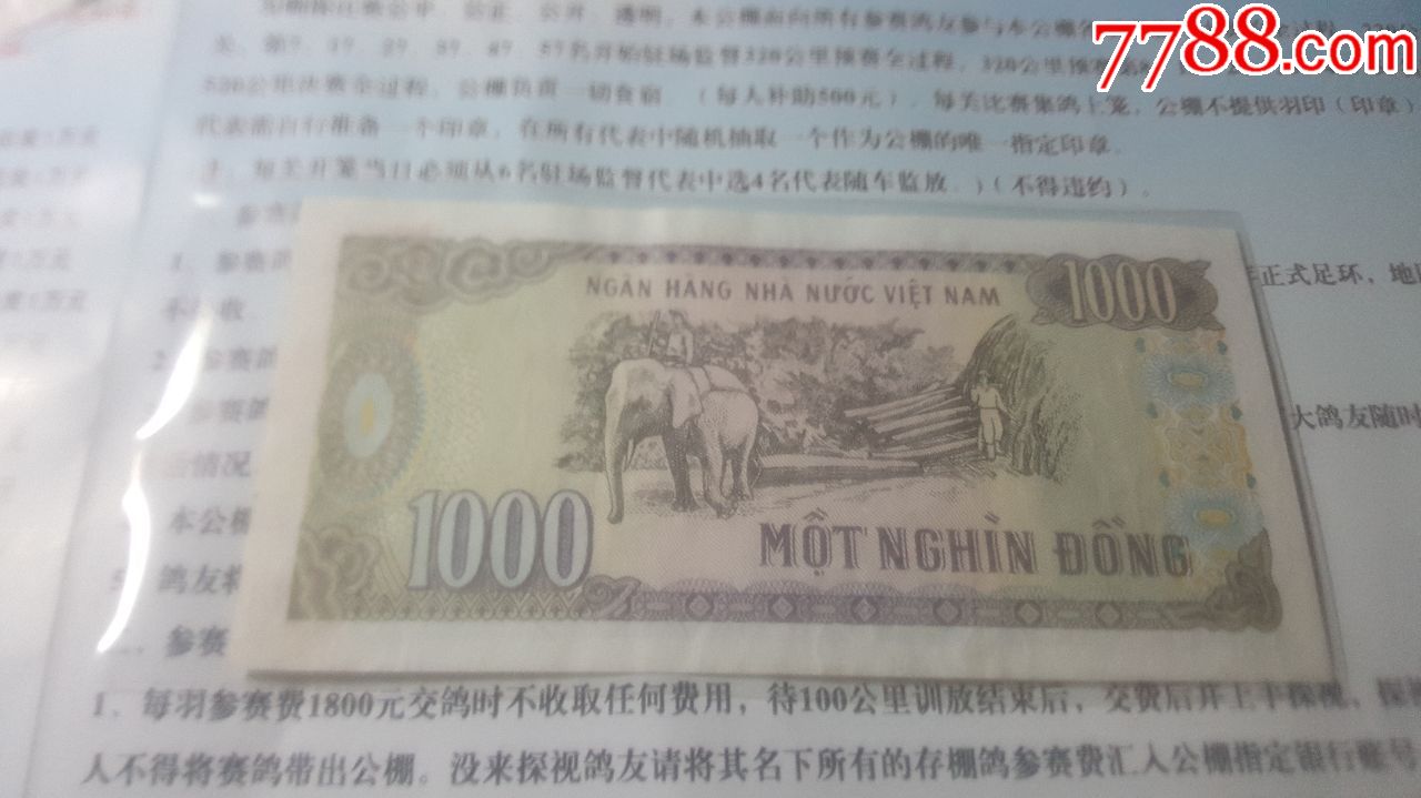 一张1000元越南盾
