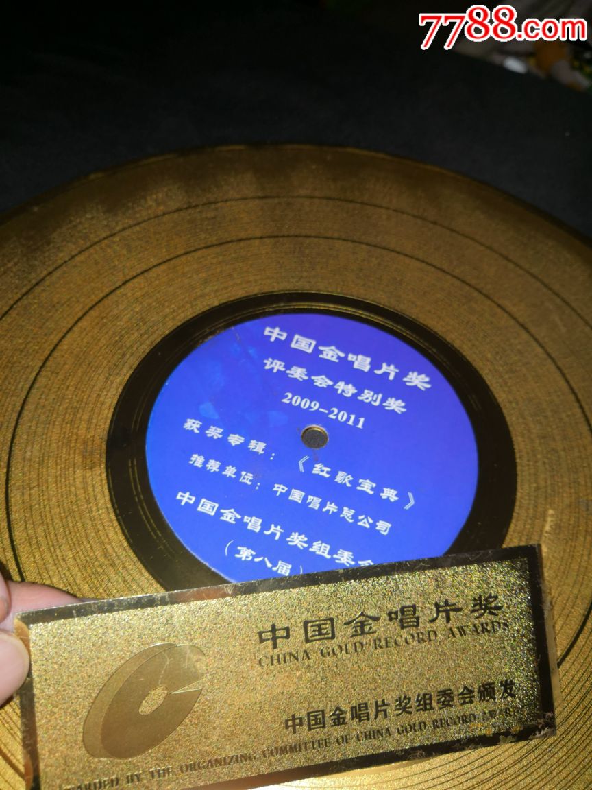 中国金唱片奖,评委会特别奖