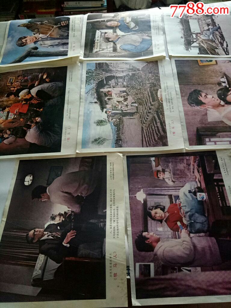 彩色故事片【牧马人】电影海报.剧照(一套八张)