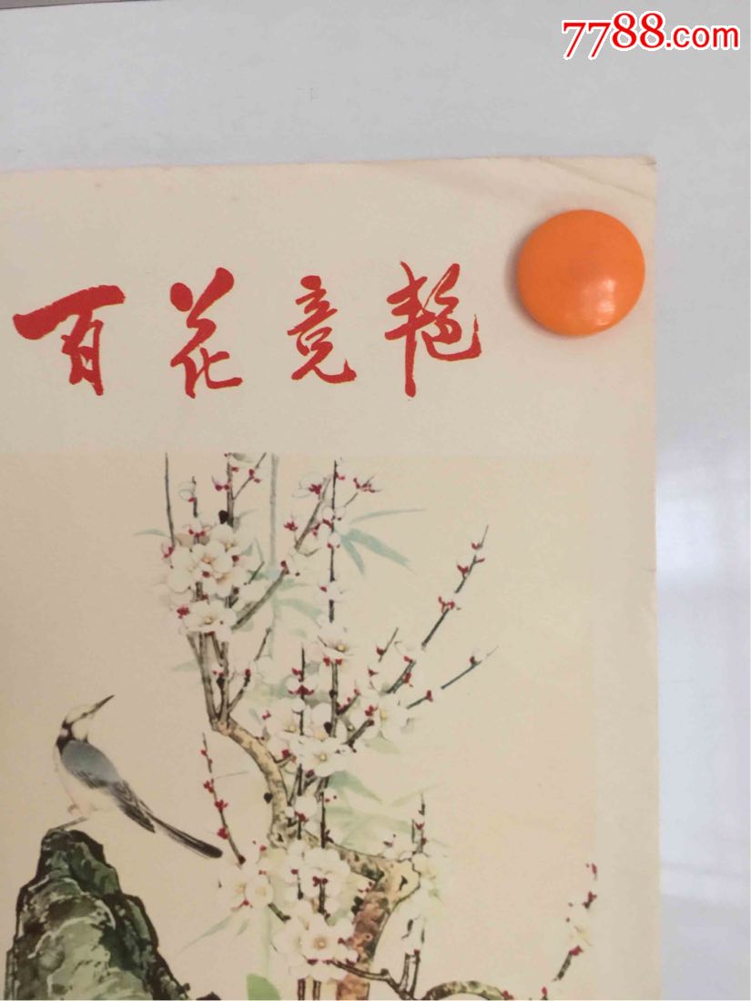 年画——百花竞艳【西安老报馆】_第10张