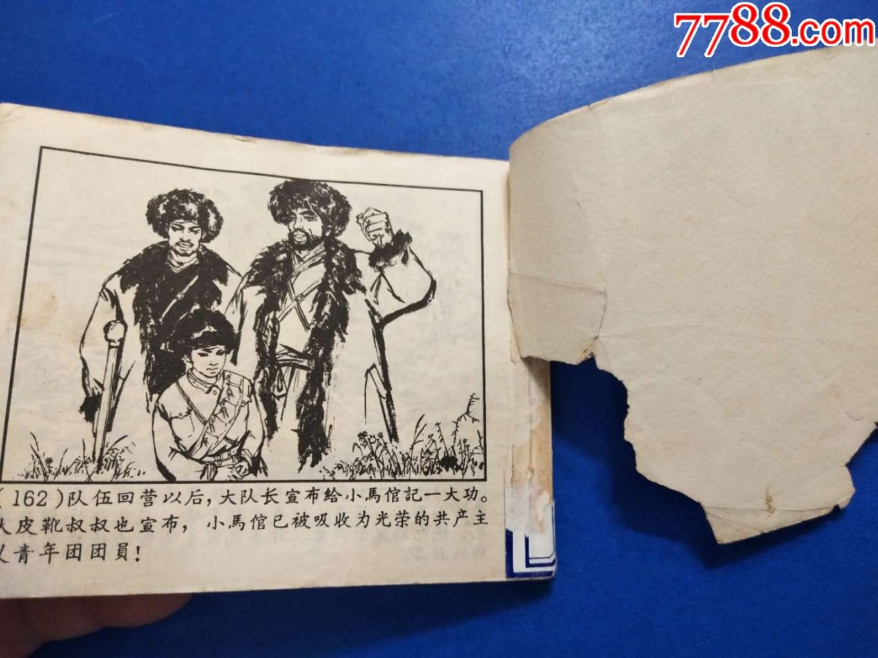 小马倌