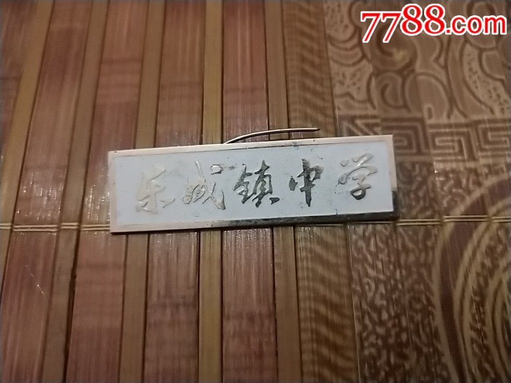 乐成镇中学校牌
