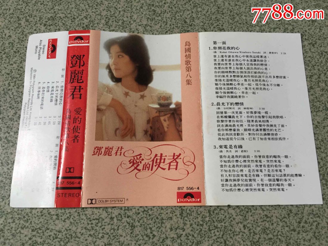 邓丽君(爱的使者)