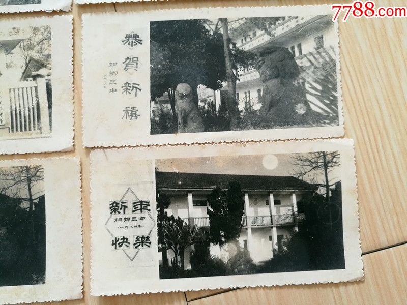 1984年浙江桐乡三中老照片8张,估计一套