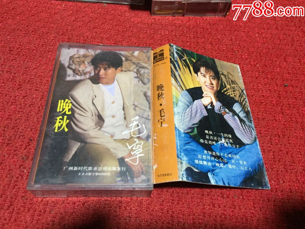 毛宁晚秋