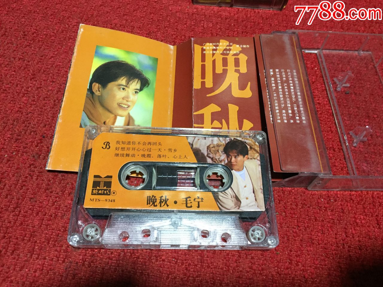 毛宁晚秋