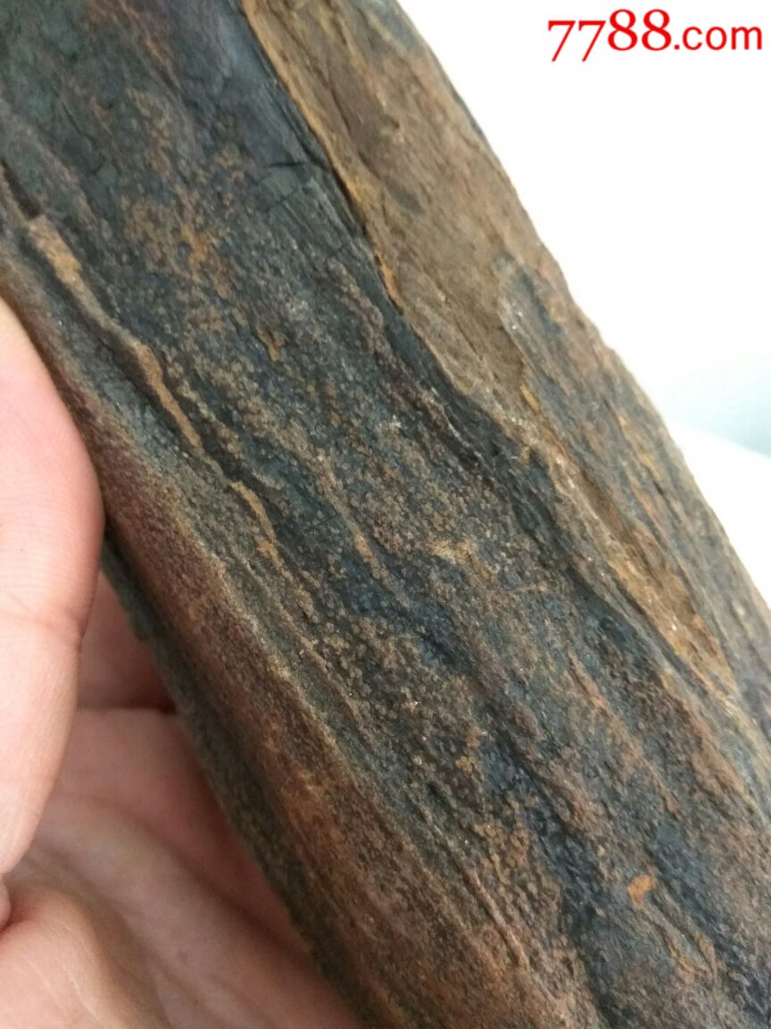 木化石-价格:15.0000元-au17675925-硅化木/木化石
