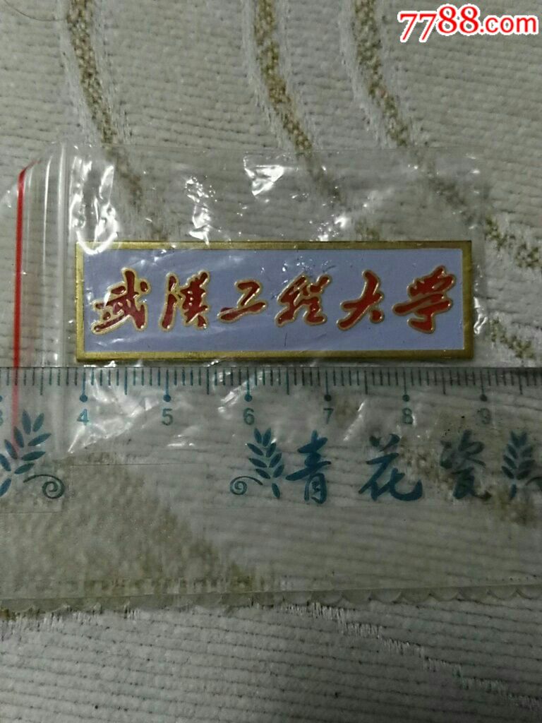 武汉工程大学校徽1枚