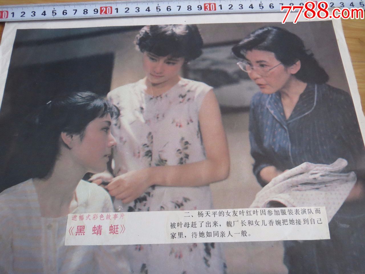 黑蜻蜓(2)