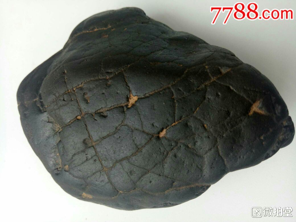 碳质陨石(弱磁)