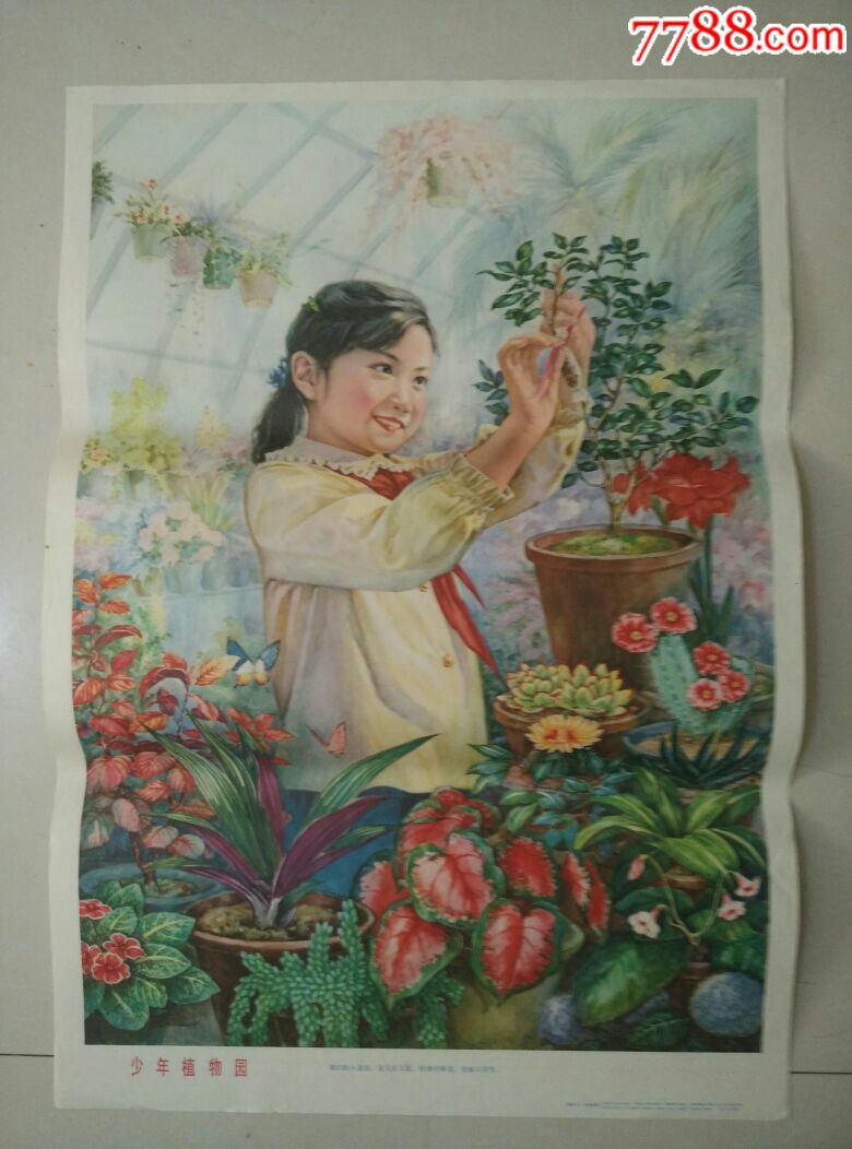 少年植物园-au17947626-年画/宣传画-加价-7788收藏