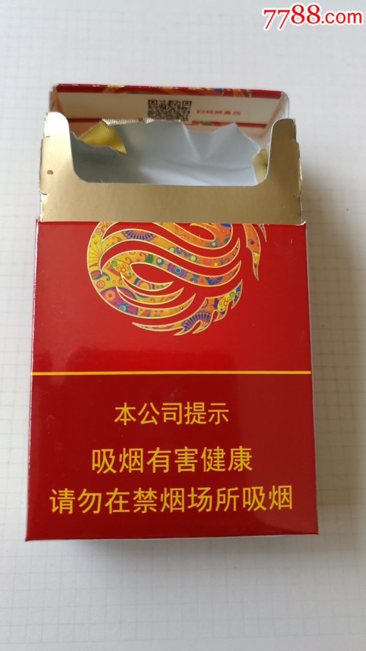真龙～锦绣
