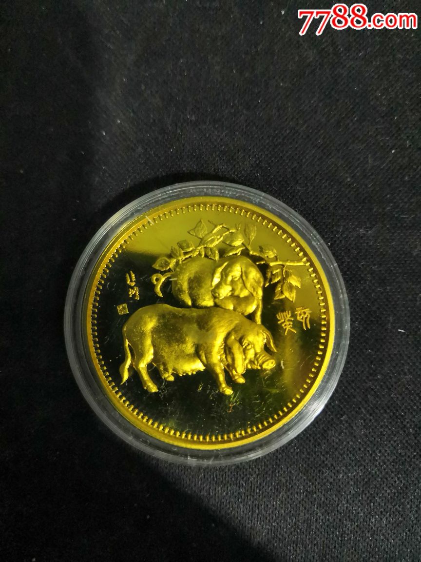 生肖纪念币猪