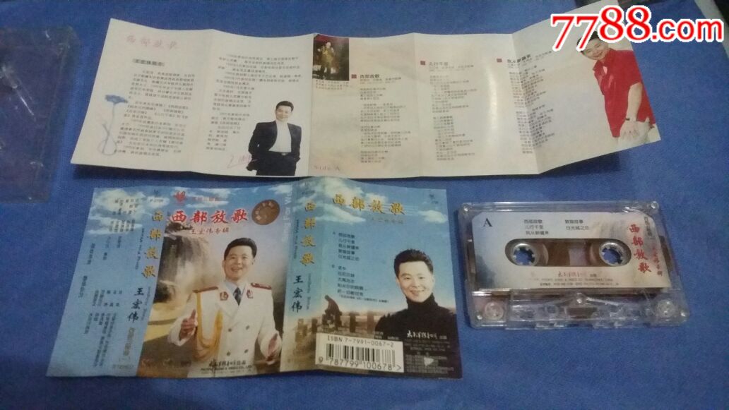 王宏伟·西部放歌(太平洋影音)