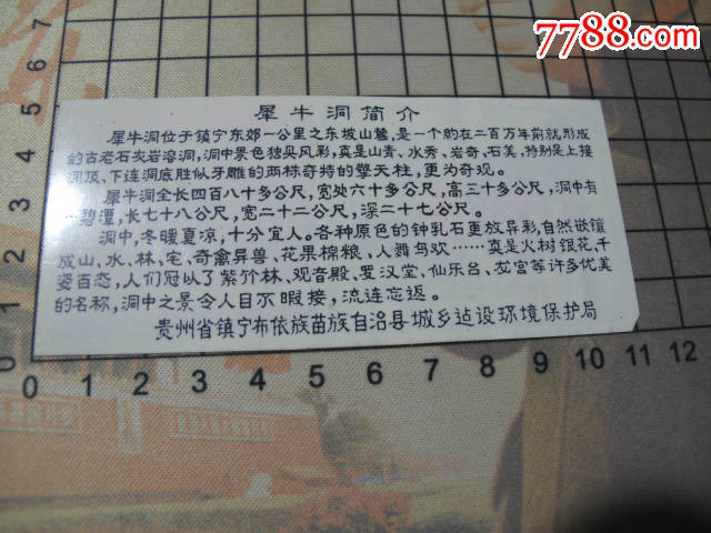犀牛洞,早期塑料票!,旅游景点门票_第2张