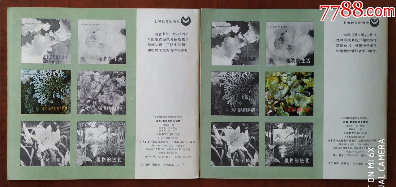 初中植物学教学参考图册(六全),连环画/小人书_第4张
