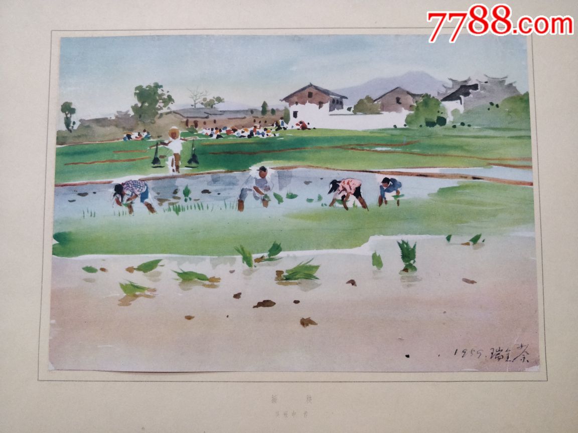 《插秧》吴冠中作
