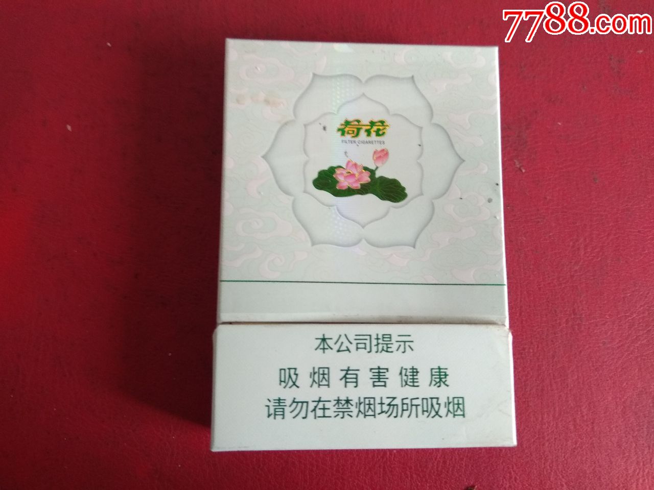 双中支荷花