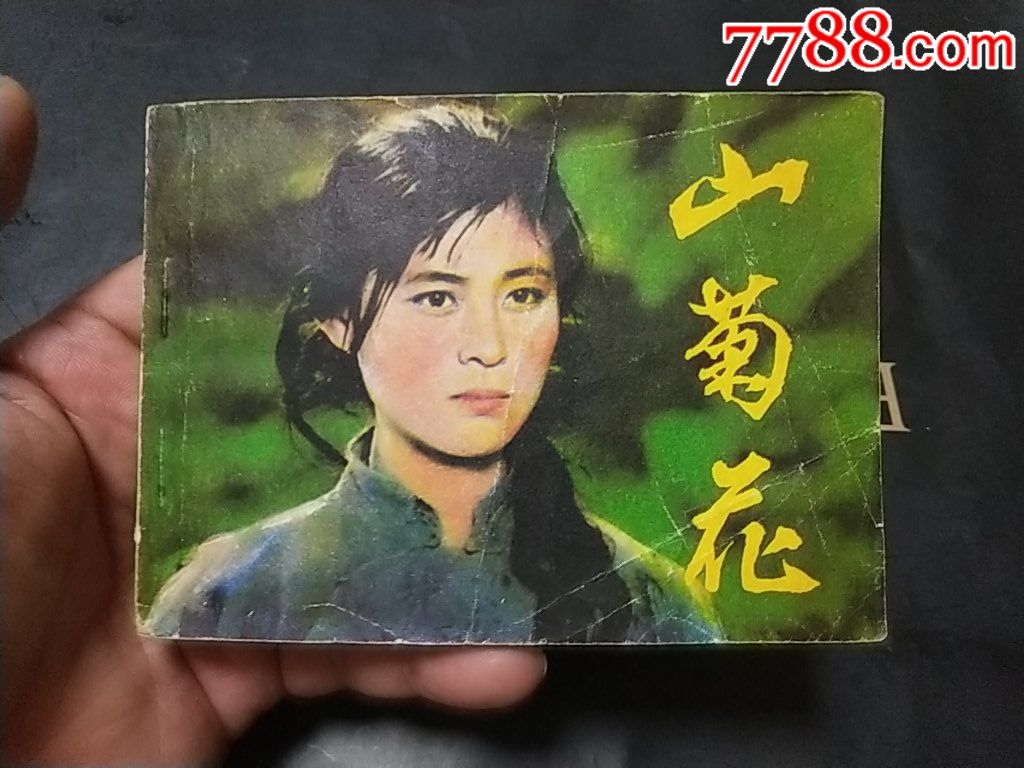 《山菊花》倪萍主演