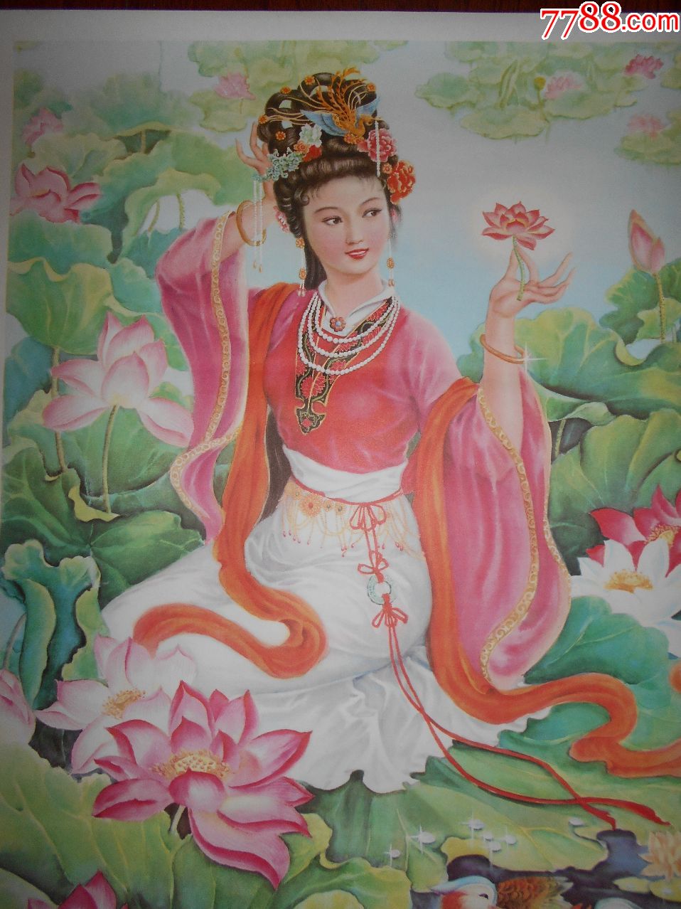荷花仙子