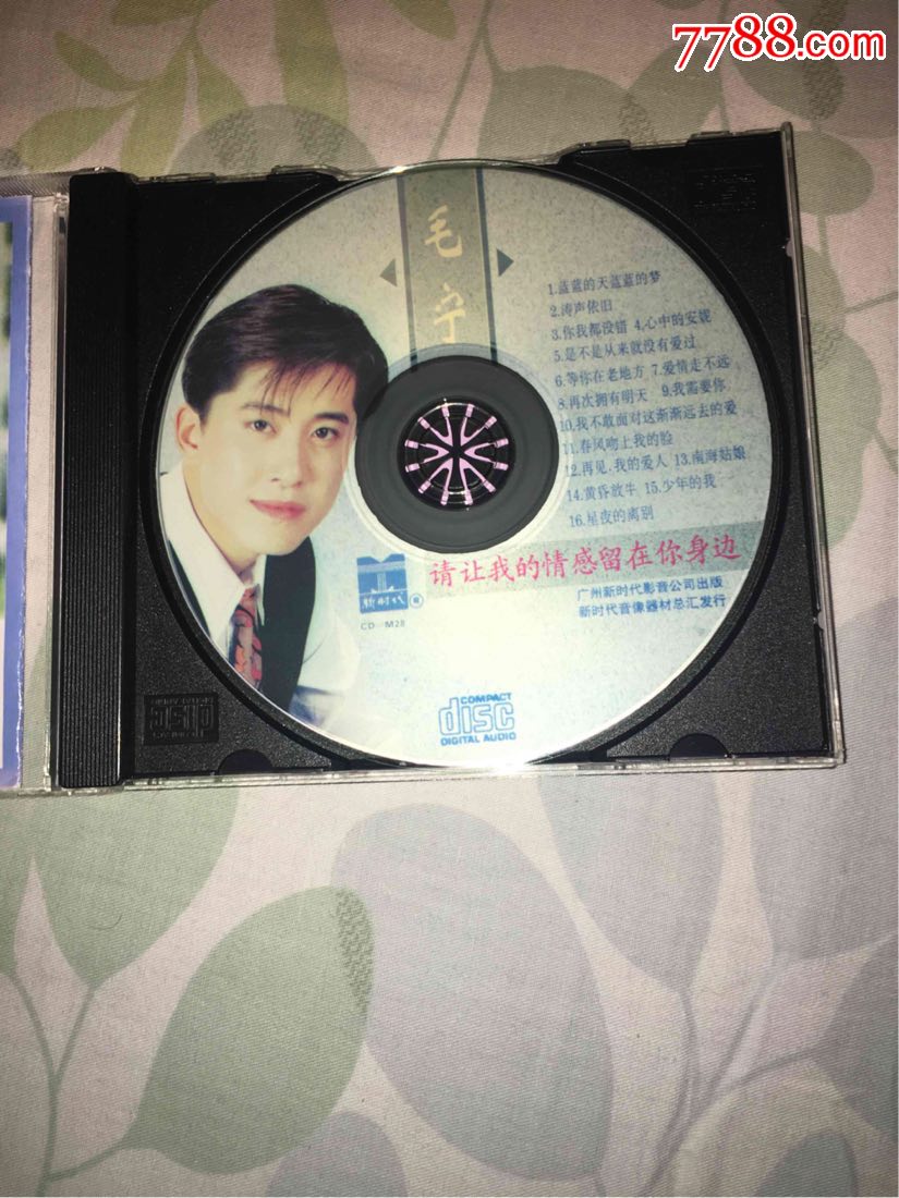 毛宁涛声依旧,自制版