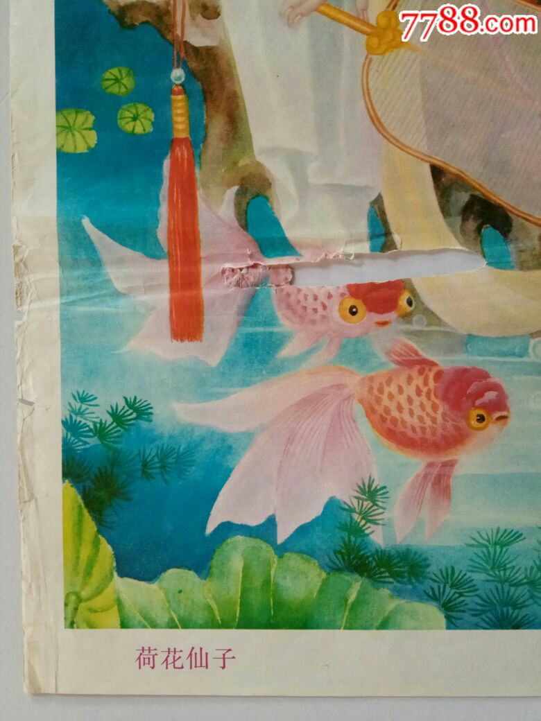 荷花仙子