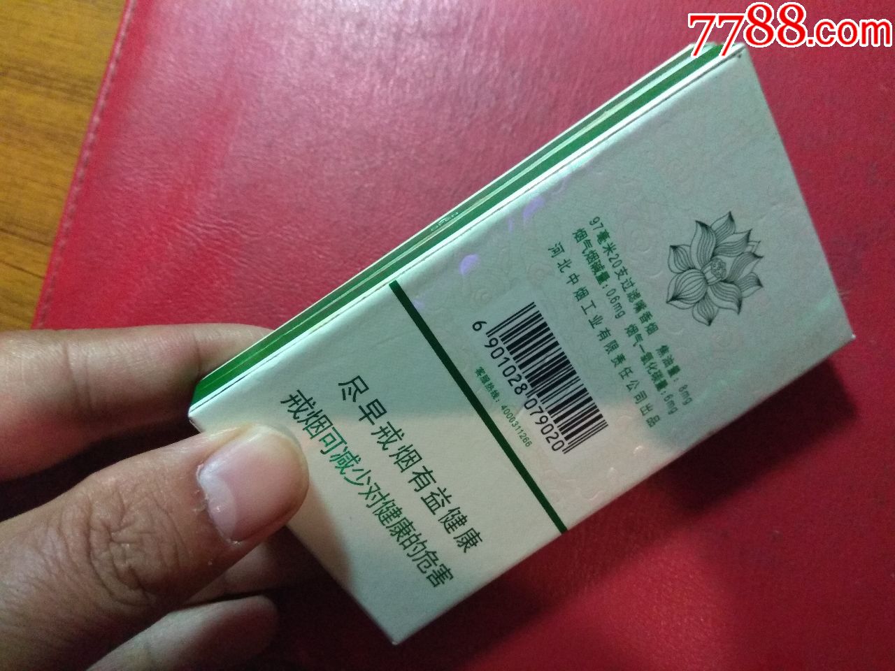 荷花 绿水青山
