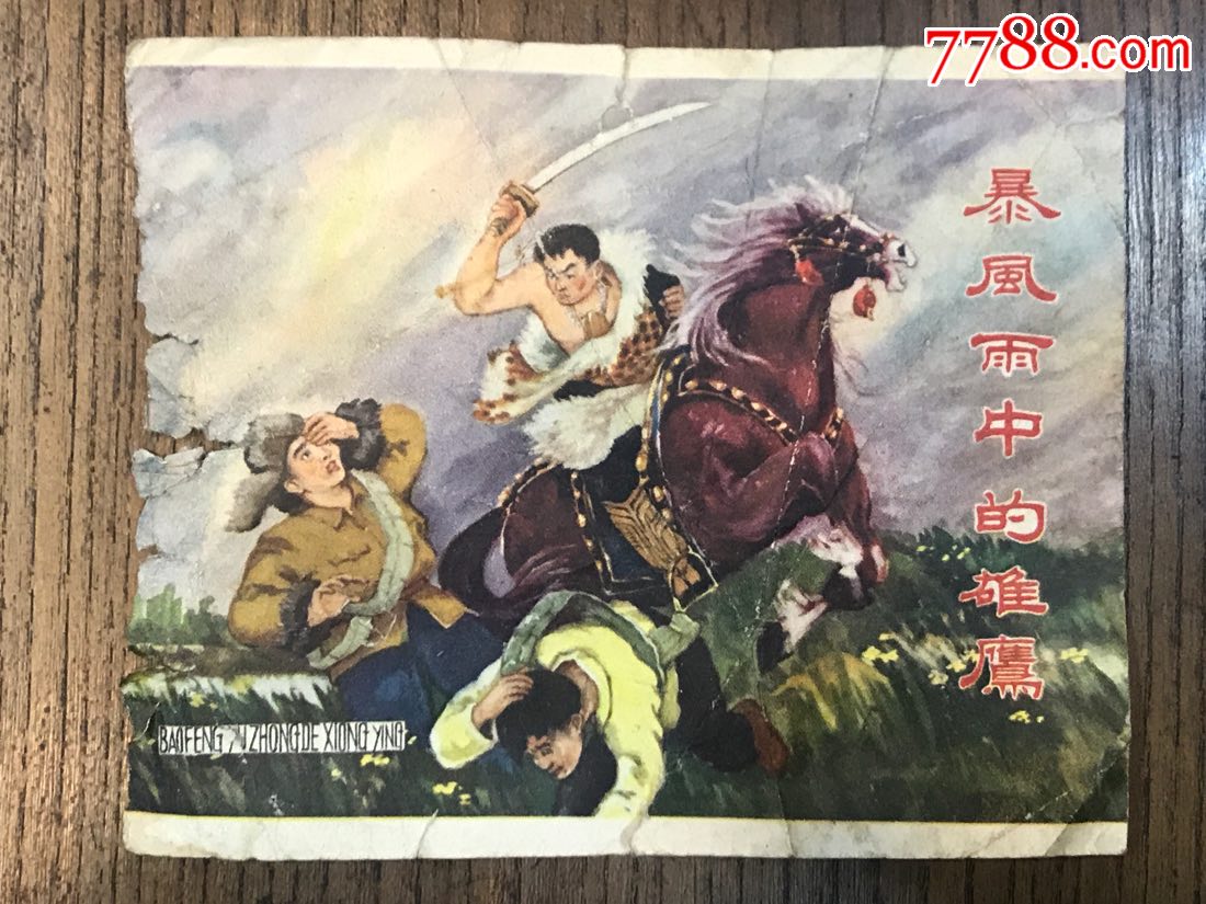 暴风雨中的雄鹰(封皮)