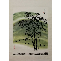 浙江画院艺术委员会主任,浙江省中国画家协会副主席等【张华胜】花卉