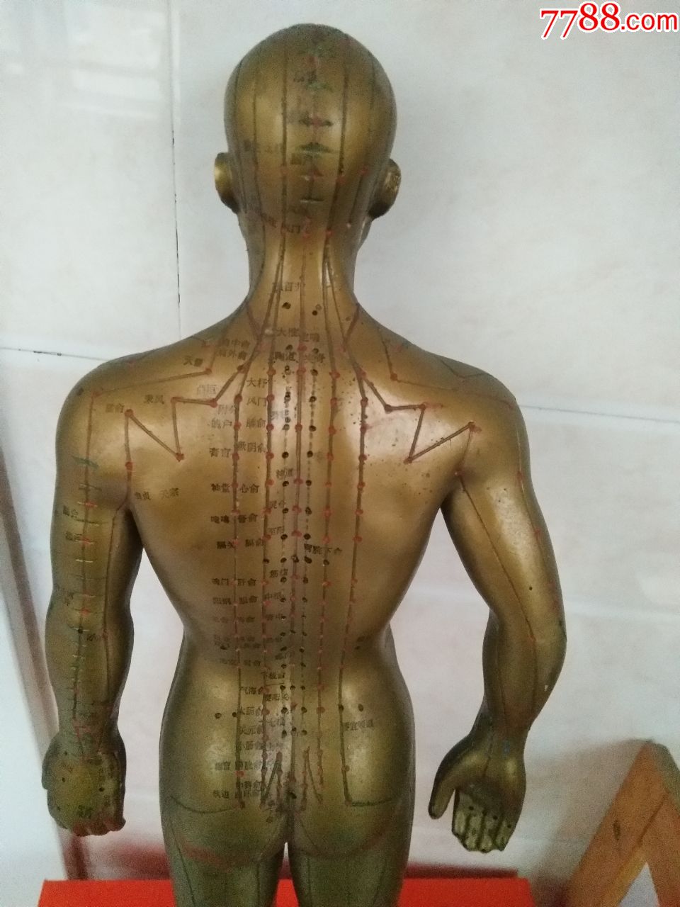 文革前后胶皮针灸人体穴位模型