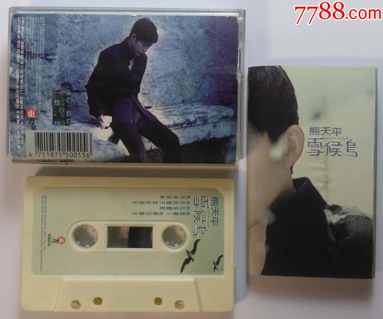 熊天平-雪候鸟